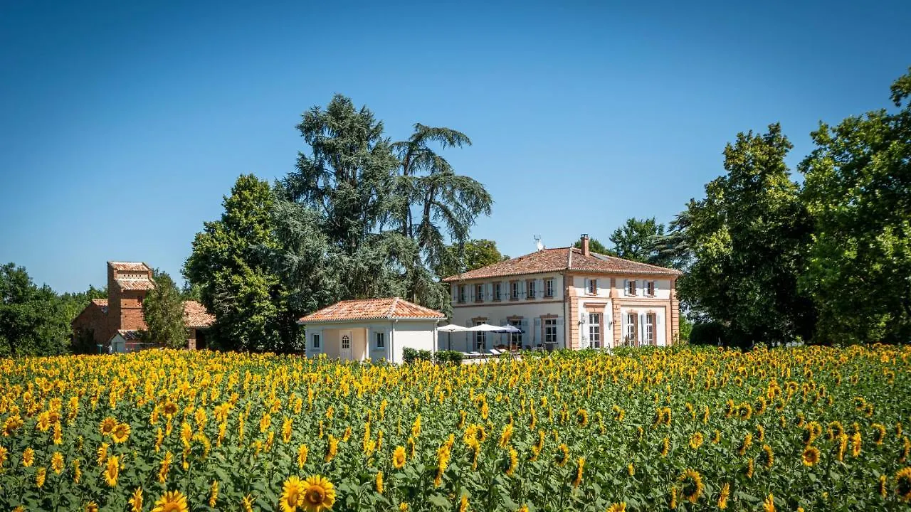 Gite Anda- Piscine- Montauban - Lacourt-Saint-Pierre France